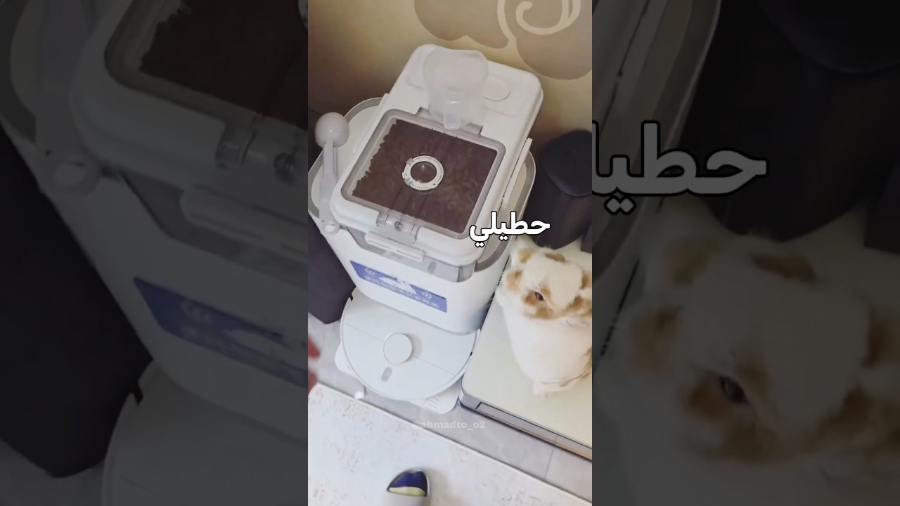 المكسرات هي الأفضل
