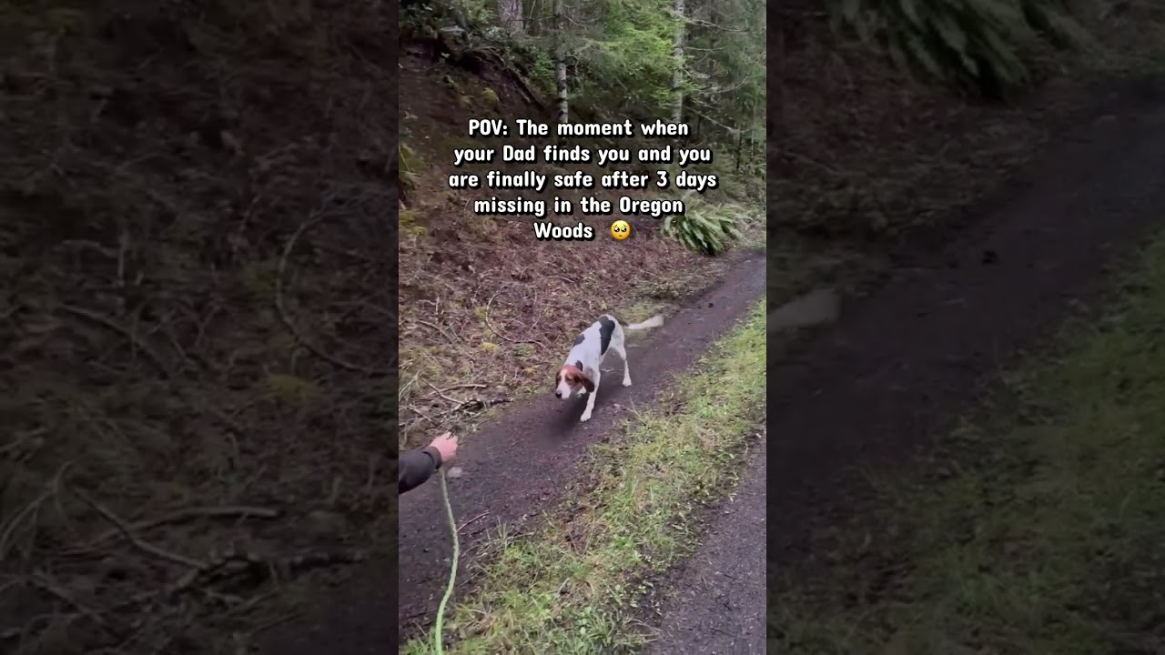 We searched for 3 days & started losing hope then there he was standing in the road #puppy #rescue