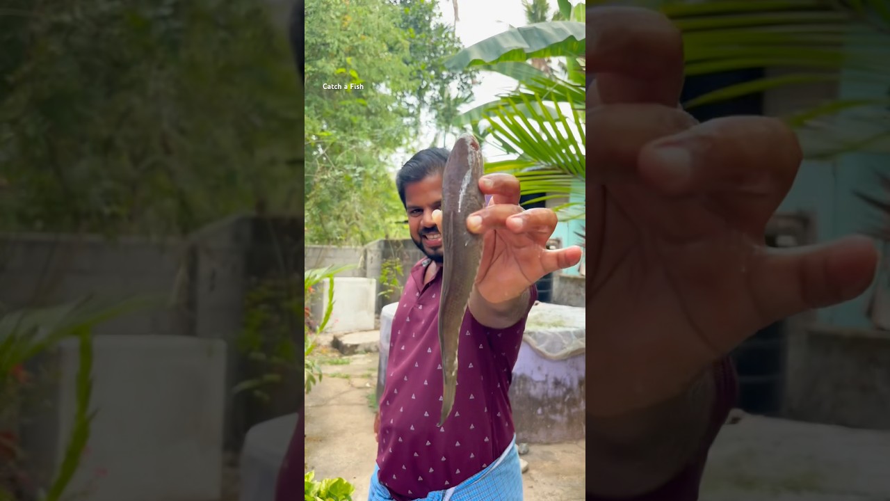 തിന്നാൻ പച്ചക്ക് കൊടുത്തു #keralafishing #shorts