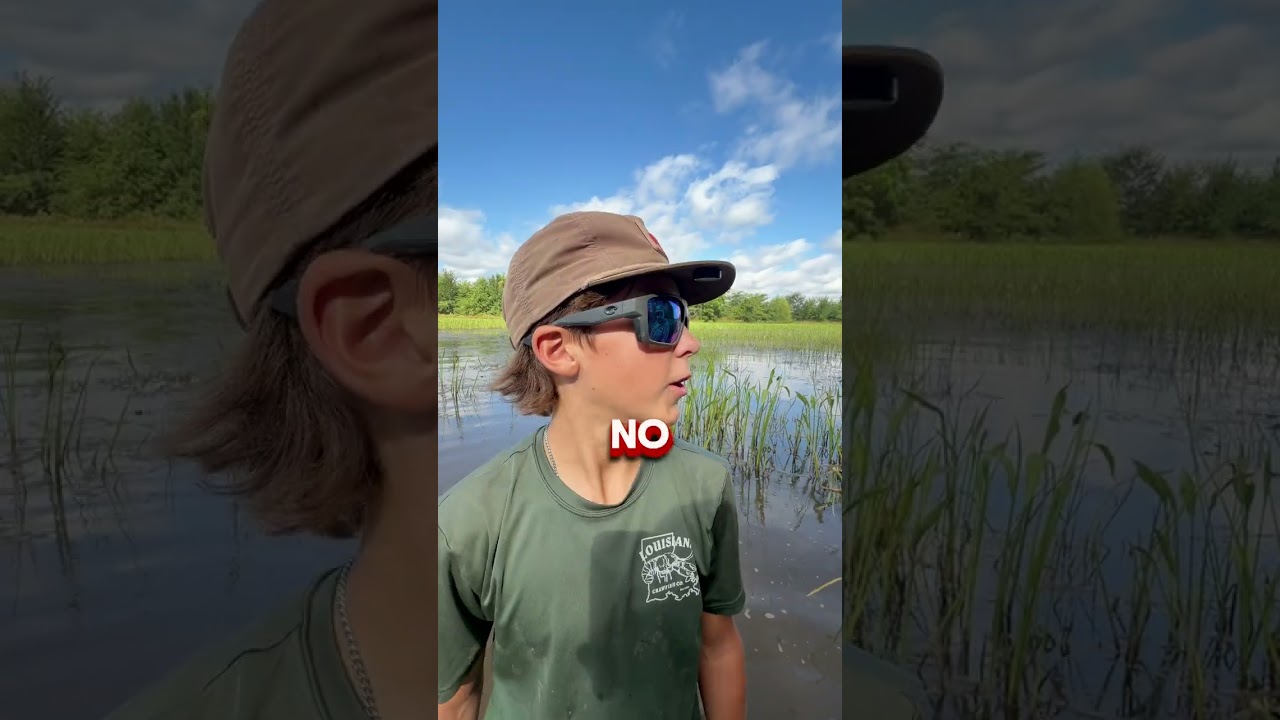 Responding to the comments...