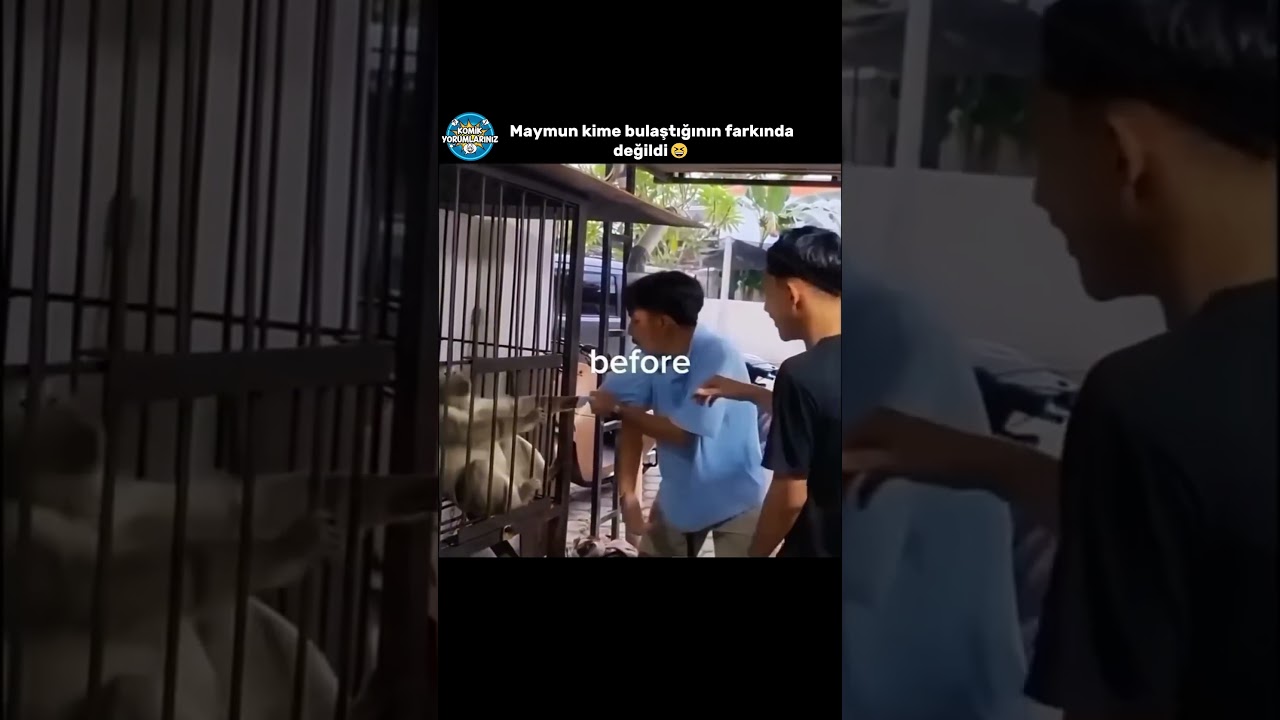 Yaptığına Pişman Oldu😆 #akımvideoları  #komikyorum #komikyorumlar