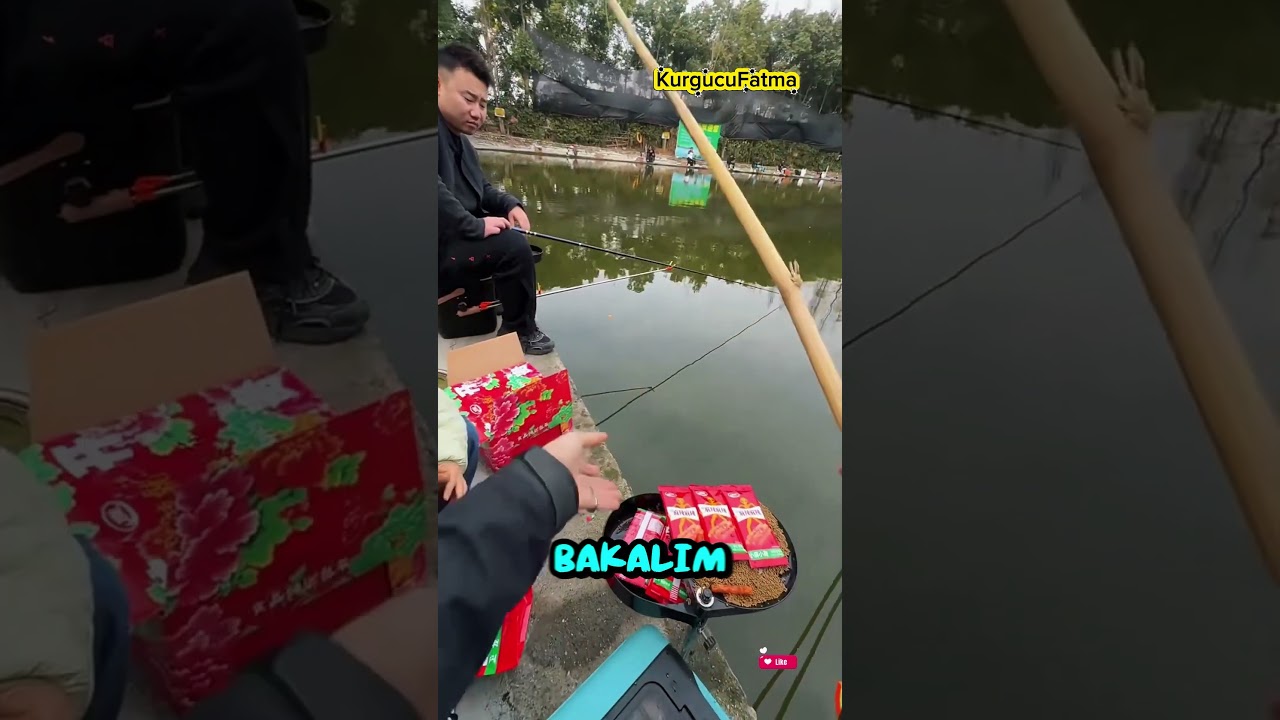 Balık böyle tutulur 😂 #shortsvideo