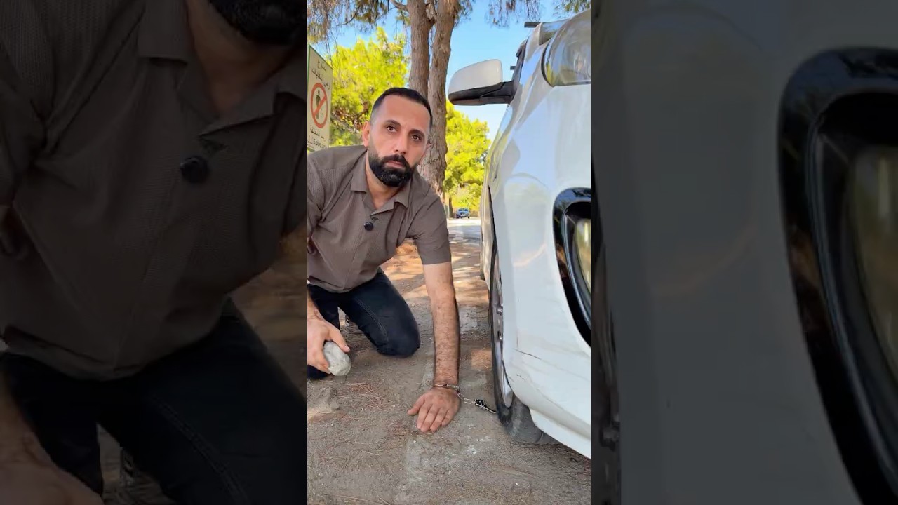 لو كانت الحياة بدون لغات😂😂😂