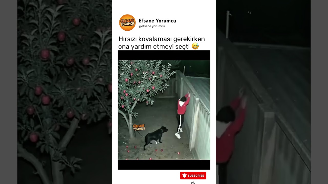 sırtına çıkmasına da izin veriyor