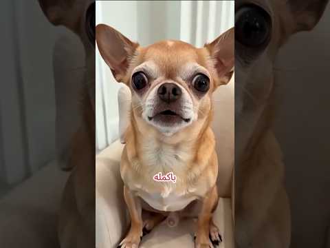 لقد أكل المنظف بالخطأ… ثم بدأت الفقاعات بالظهور! 🫧😱 #shortvideo
