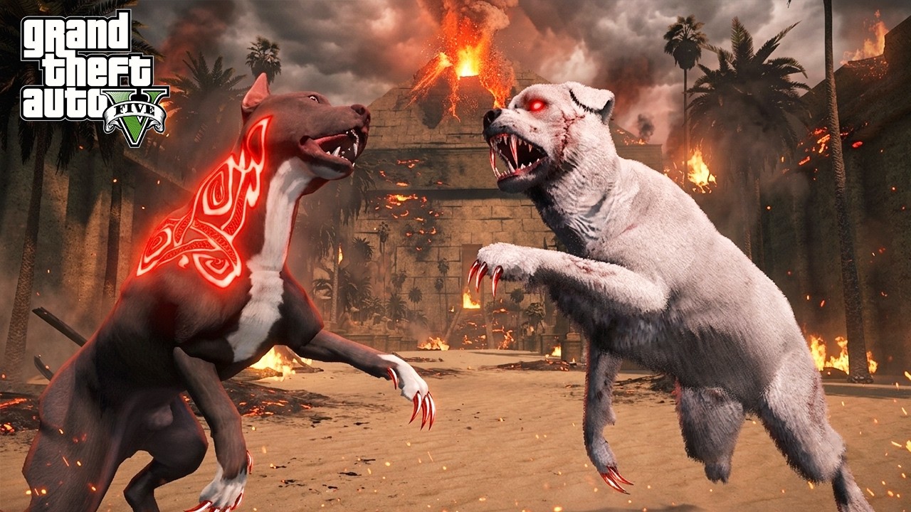 TERMİNATÖR EN BÜYÜK RAKİBİ BEYAZ ÖLÜM'LE DÖVÜŞÜYOR! - GTA 5 PİTBULL'UN HAYATI