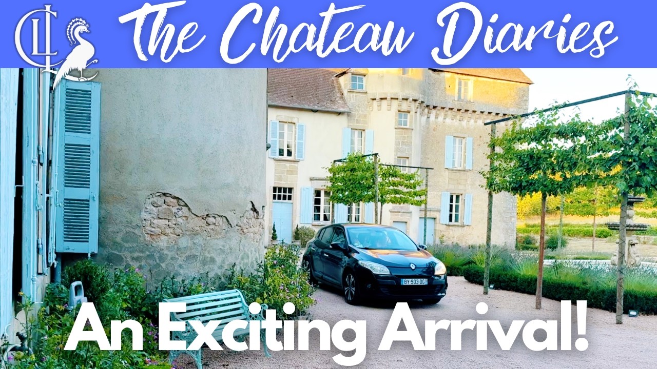 Exciting Arrivals at Lalande & Latouche! 🎉 - Published by The Chateau Diaries