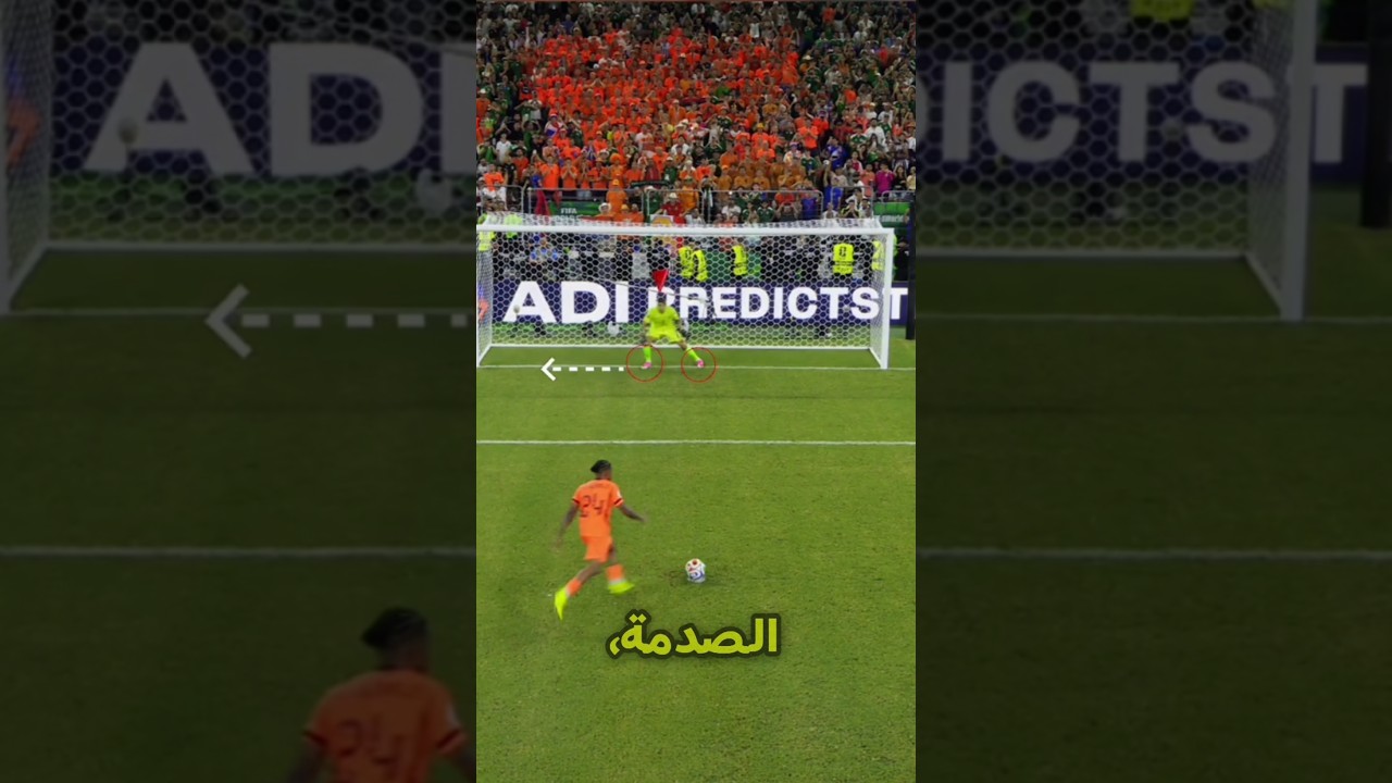 شوفوا ياسين بونو  عمله تنويم  وتحكم فيه وعمله. اسطووووري