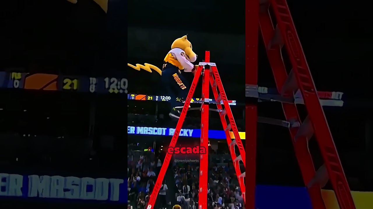 os carecas não devem ir na NBA