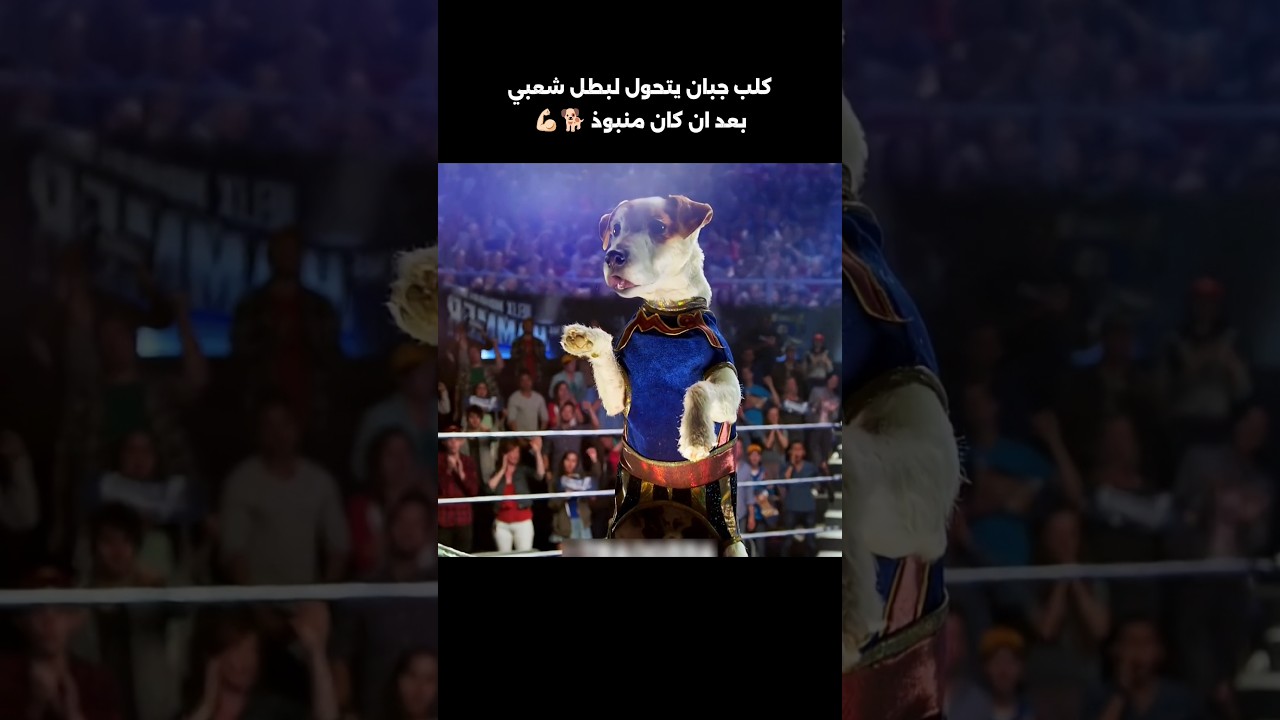 كلب جبان يتحول لبطل شعبي بعد ان كان منبوذ 🐕💪🏻