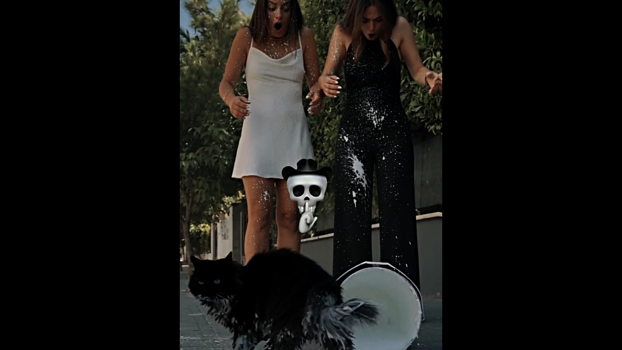unexpected cat revenge 😼#viral #trollface #cat