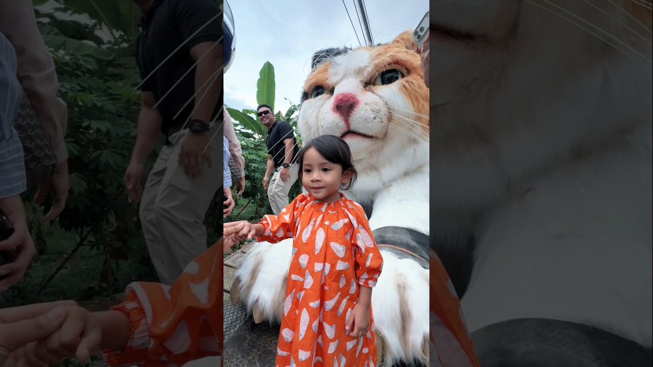 BUNDA ANTERIN LEXIE KETEMU KUCING RAKSASA😱⁉️#dienafitri #trending #shorts #kucingraksasa #kucinglucu