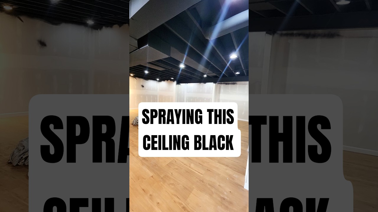 Black ceilings are the new thing! #alecpaints #diy