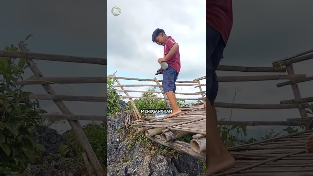 This Young Boy Called His Eagle That Flew Away