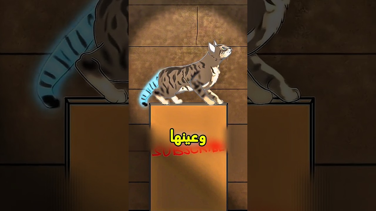 تعبيرات القطط..!🐈 #shorts