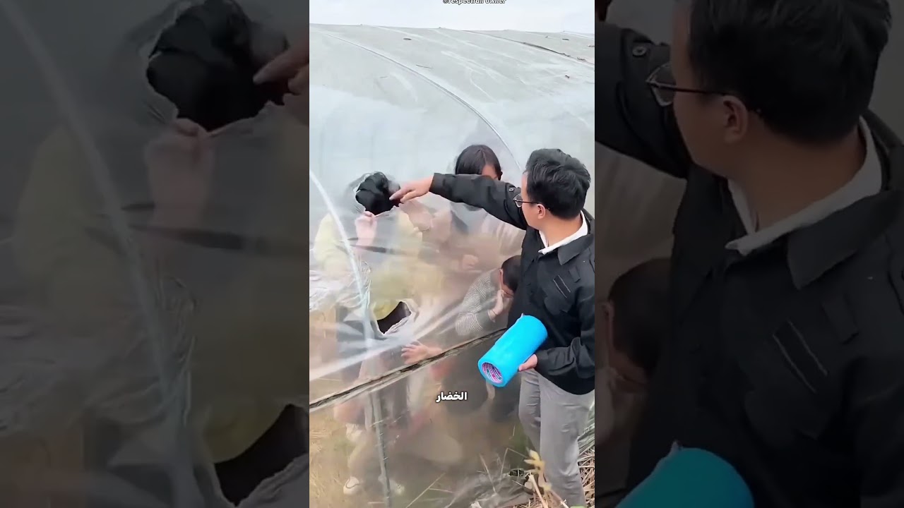 حرامية سرقوا الخضار… شوف المزارع عمل فيهم إيه! 😳🥬💥