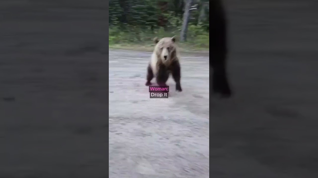 Woman Fights Off a Bear😳...