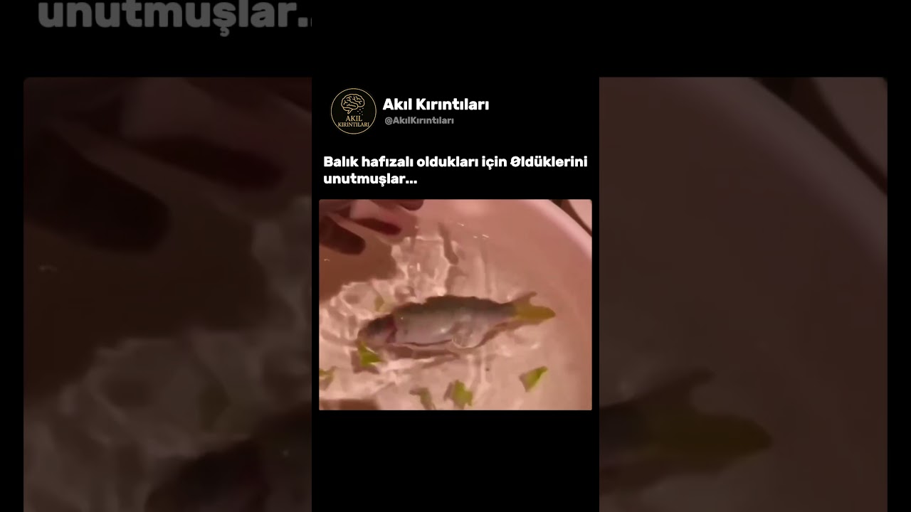 Yıllardır İnandığımız O Bilgi Meğer Yanlışmış! 🤯