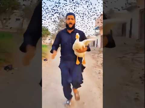 Allah tala sab dekh rhahai#trendingshorts#emotional#foryou#prayer#ytshorts#shorts