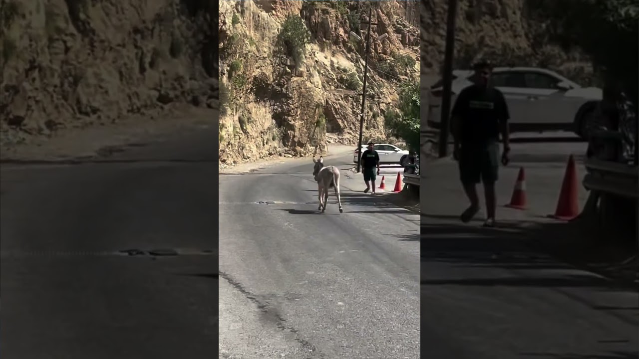 هذا صاحبنه زعل وراح للبيت