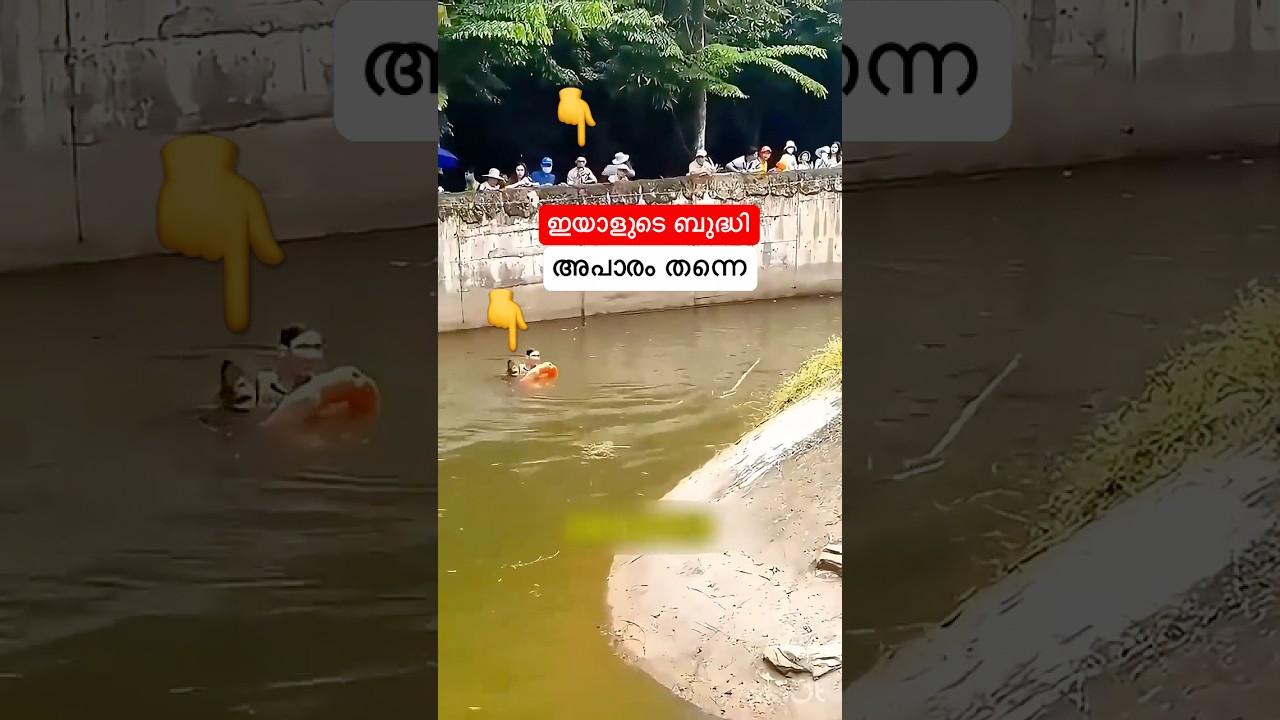 ഈ പാവം കുരങ്ങന് സംഭവിച്ചത് #shortfeed #shorts