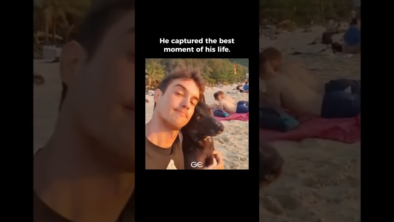 He Watched The Sunset With His Best Friend 🥹🐶