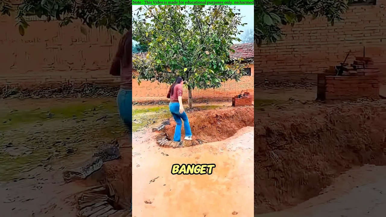 Niat Ngumpet Dari Kejaran Monster Jahat, Eh Malah Nyasar Ke Kamar Hotel Bintang Lima Punya Nenek!