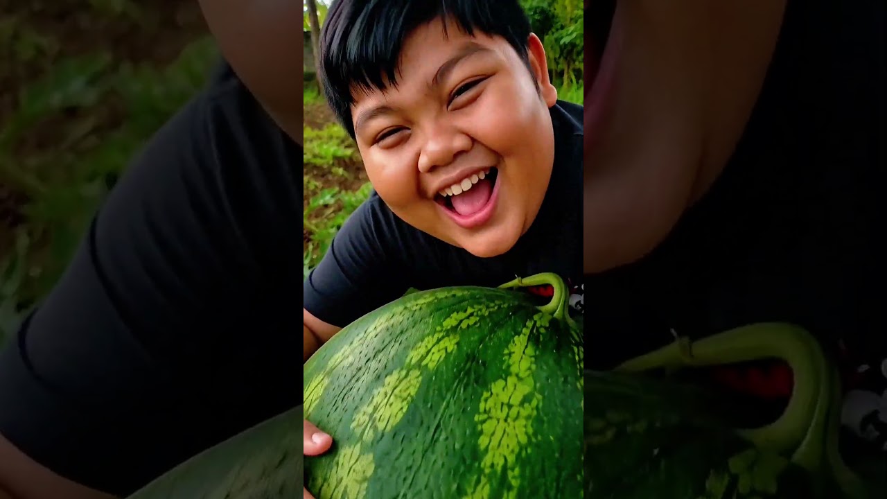 Seru dan kocak lomba menanam buah buahan 🍉