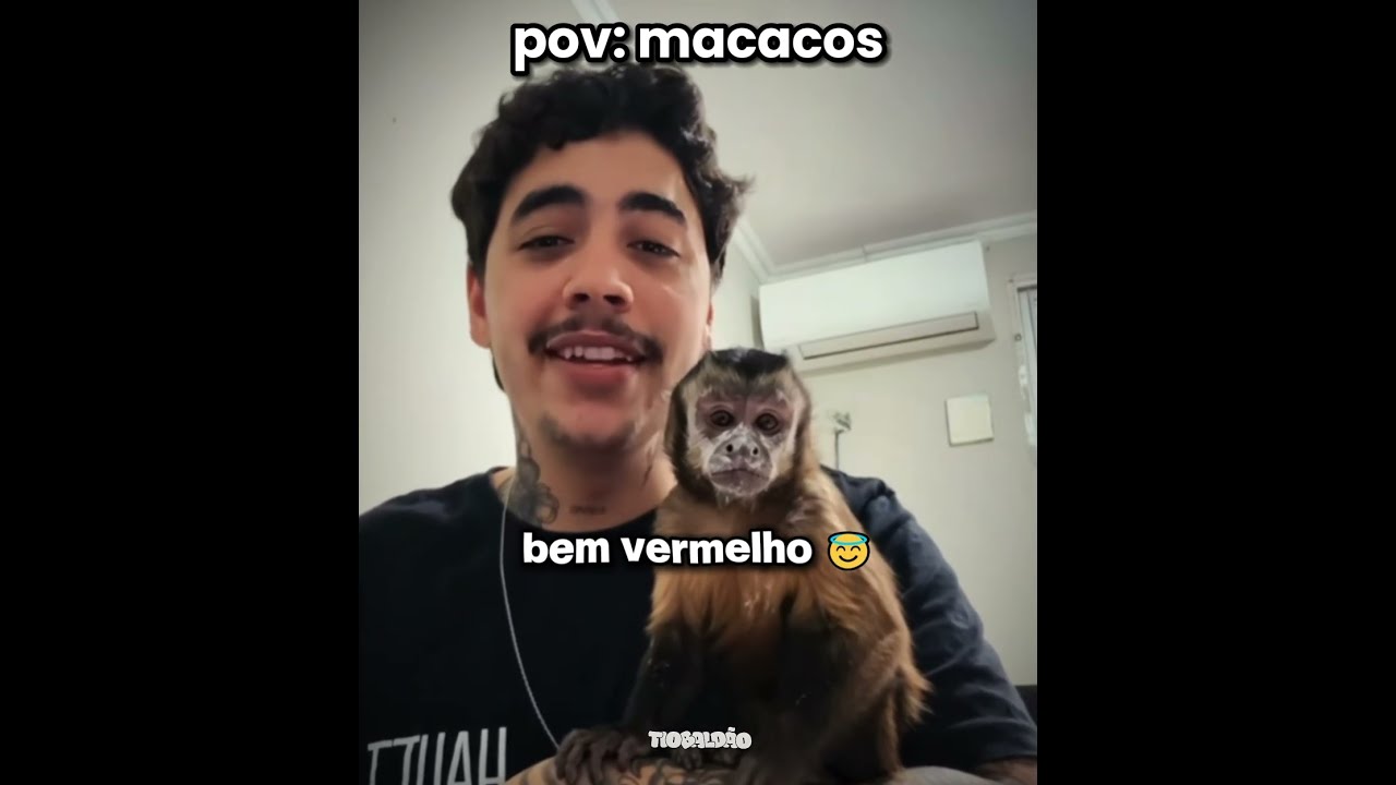 o macaquinho farmou aura kkkkk l #humor #engraçado #shorts