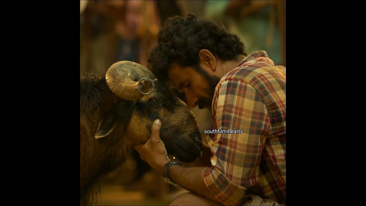 😰 Boy Happiness ☺️#shorts#trending#viral