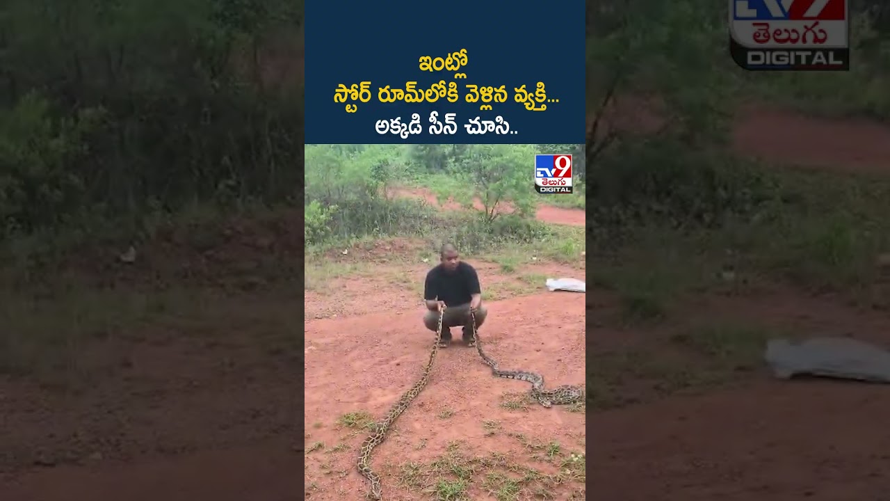 ఇంట్లో స్టోర్‌ రూమ్‌లోకి వెళ్లిన వ్యక్తి... అక్కడి సీన్‌ చూసి..- TV9
