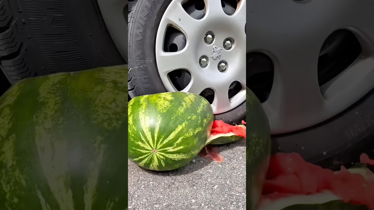Bánh Xe Tôi Đã Dẫm Phải Chúng 🛞🚘🥚🍉🍈