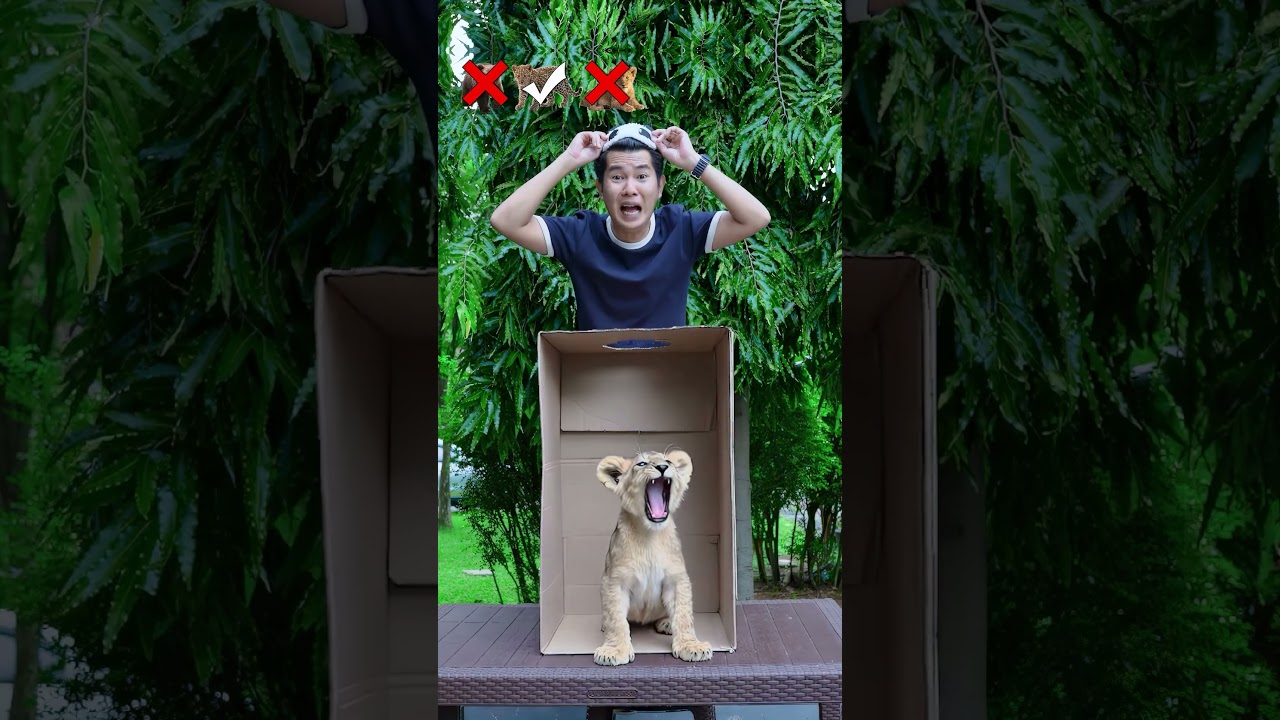 Coba Tebak Hewannya #alethaabew