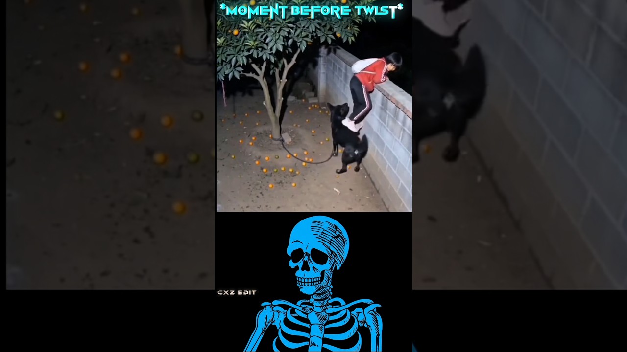 #aestheic