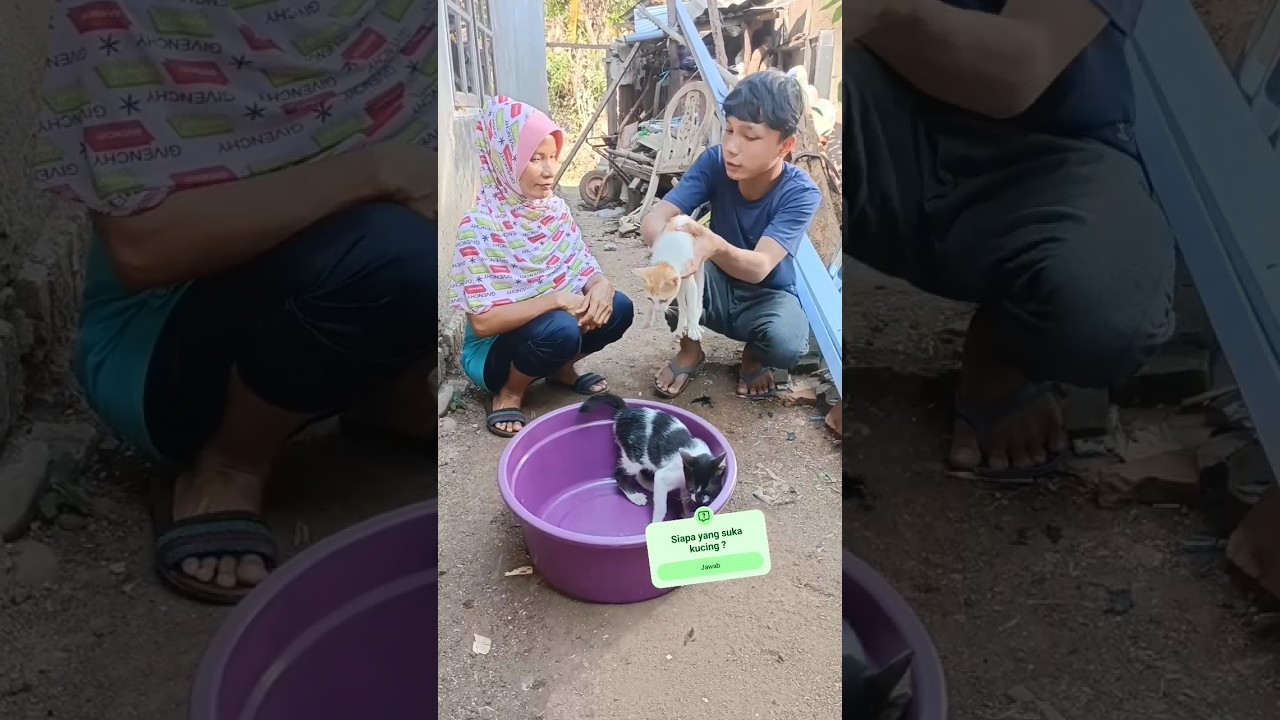 Kakak simpan kucing