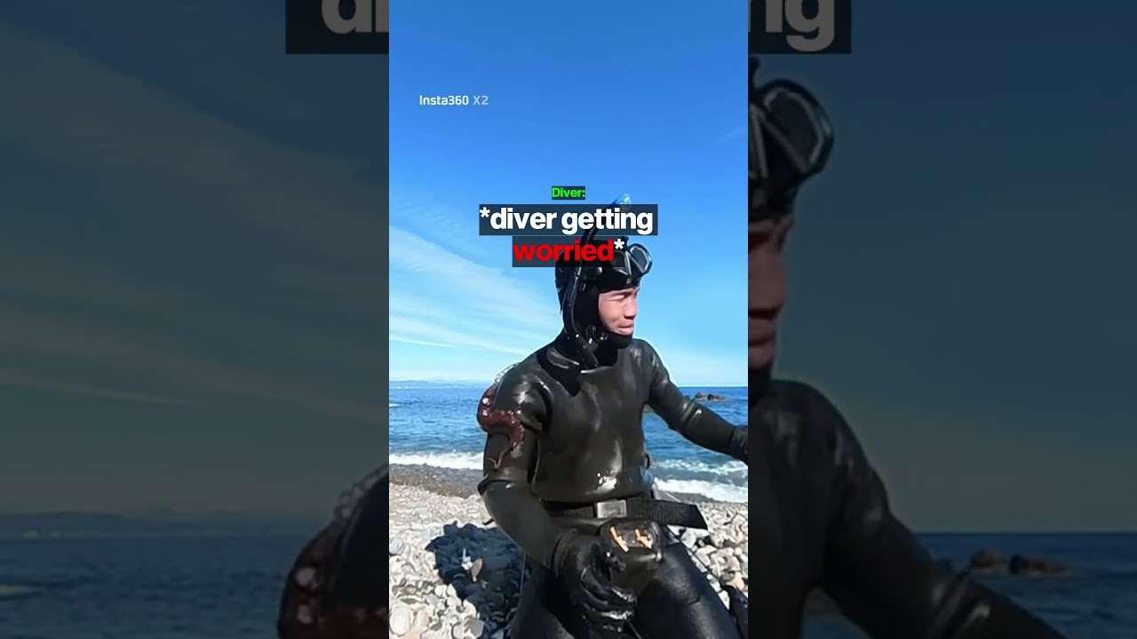 Octopus VS Human 😱 - Published by ControversialClips