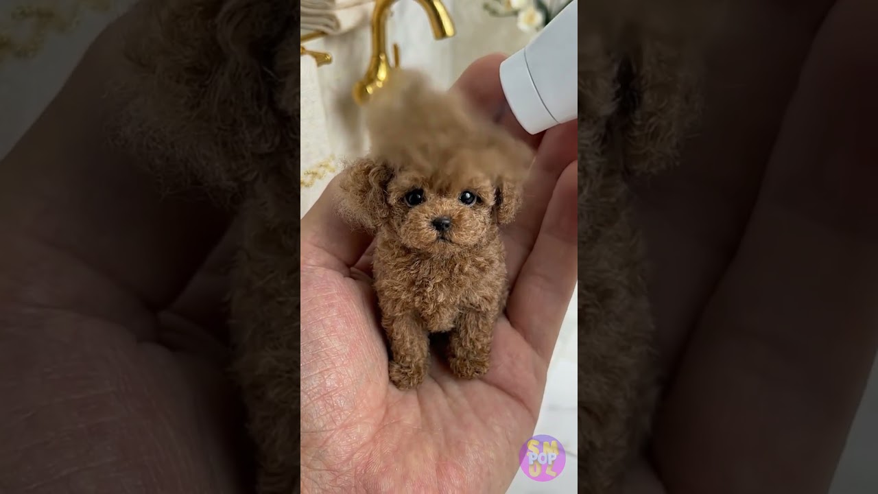 Puppy Spa Day: Get Ready for Adorable Surprises! 🐶