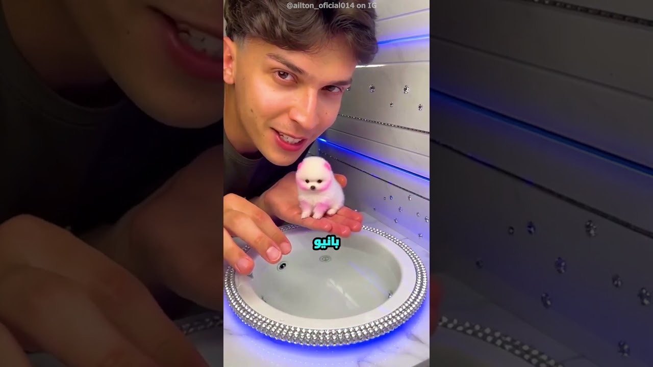 أصغر كلب في العالم.. الراجل ده أنقذ حياته ودلعه بطريقة هتدوب قلبك! 😍🛁