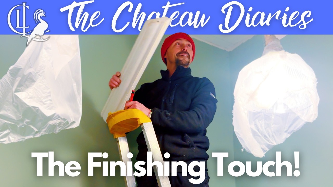 Chateau Wine Store Renovation: The Coving Goes Up! 🏰🛠️