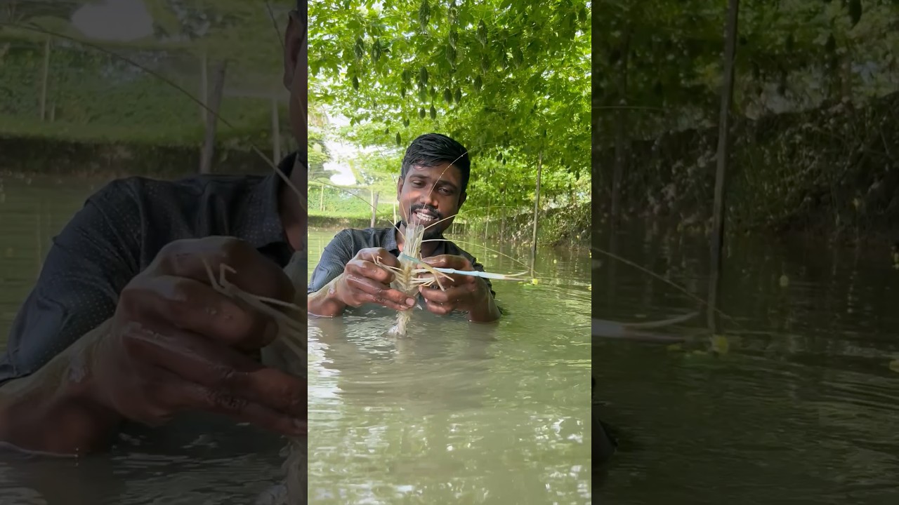 #fishing #fish #chaildhood