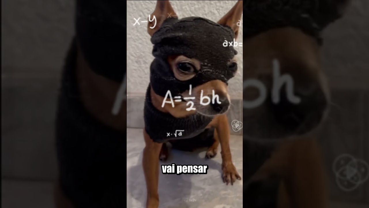 COMO EVITAR QUE SEU CELULAR SEJA ROUBADO?