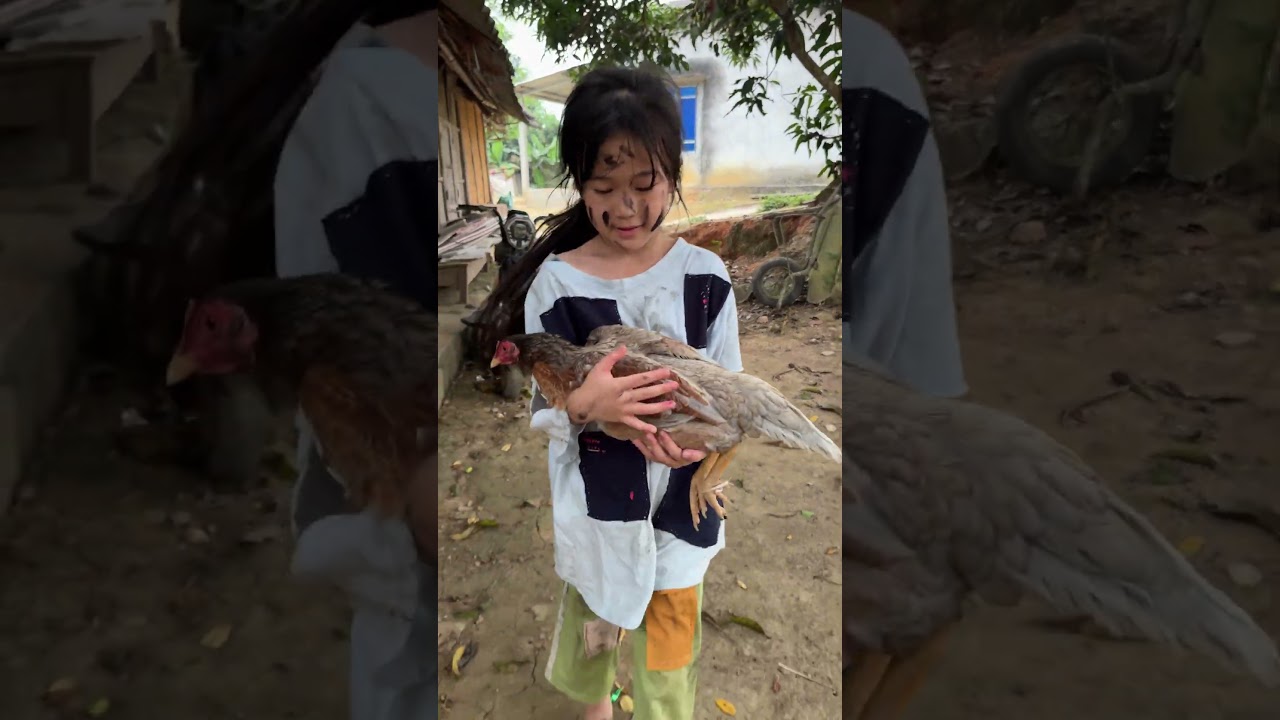 The poor girl rescues the mother hen and her chicks.