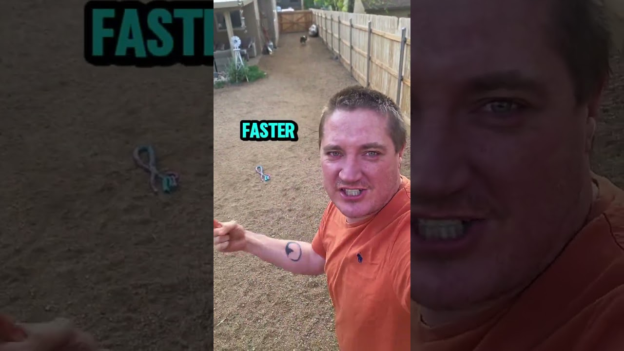 .songcuya faster than a turtle #dog #bordercollie