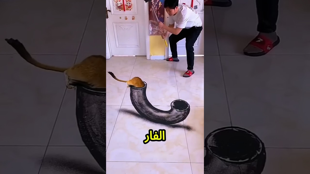 يا بابا الحق! الفار رجع تاني😱🐭💥