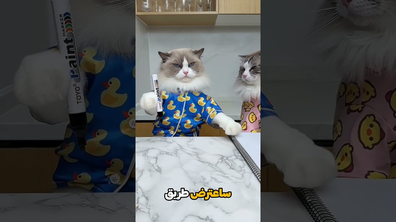 عندما أخبر سونو تشينكي عن السحر! 😱✨