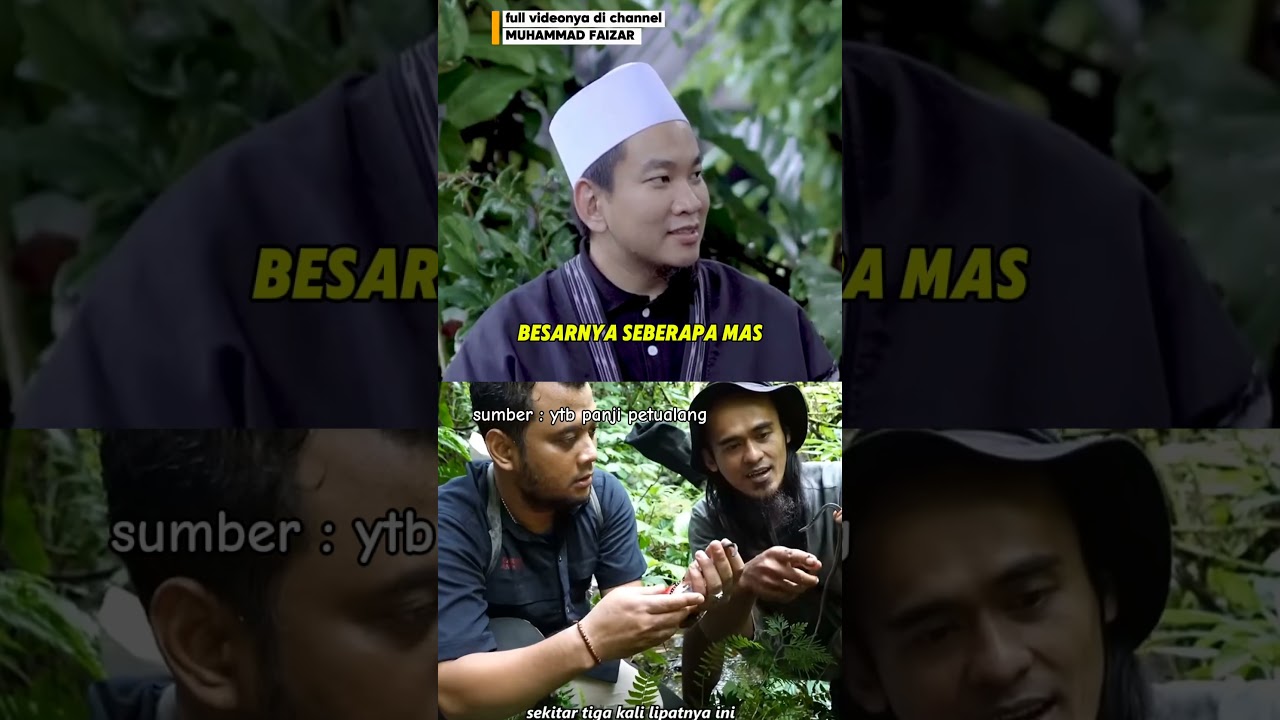 Ular naga didunia nyata