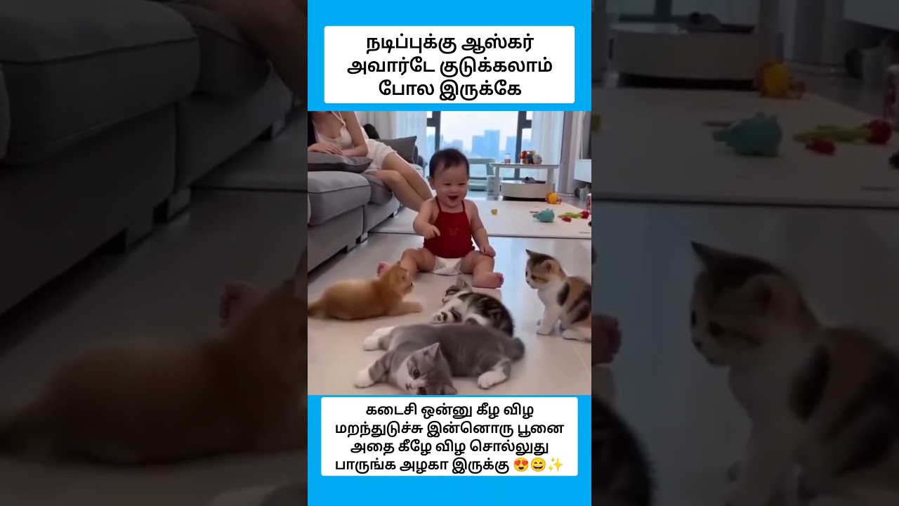 நடிப்புக்கு ஆஸ்கர் அவார்டே குடுக்கலாம் போல இருக்கே #shorts