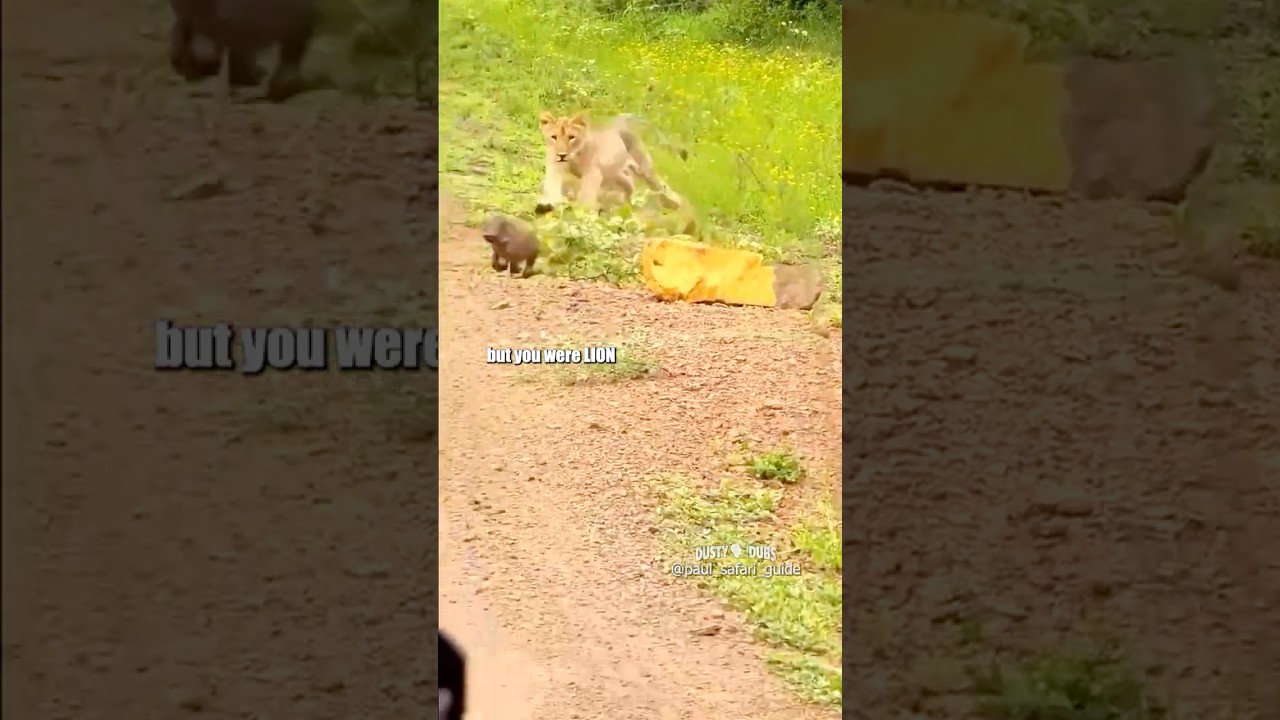 Baby Warthog Runs His Mouth… and His Legs 🤣
