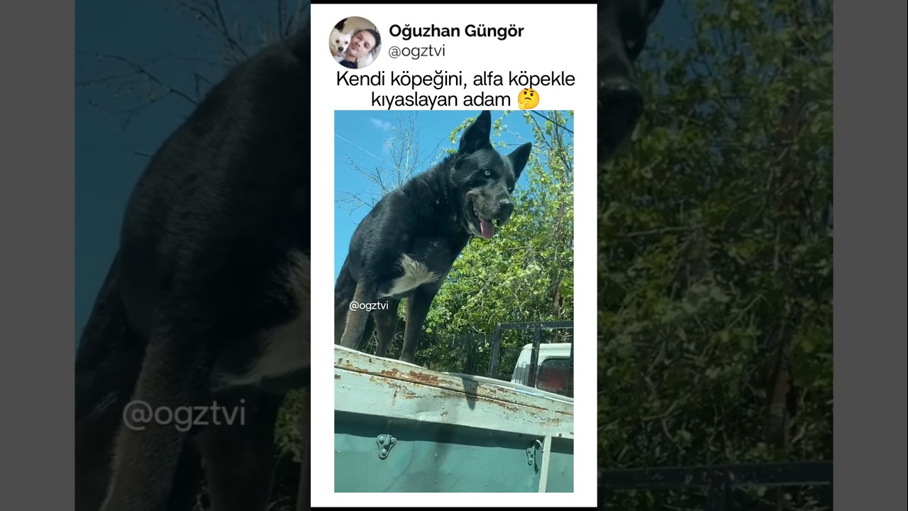 Ne titremesi kardeşim, araba sallanıyor 😄