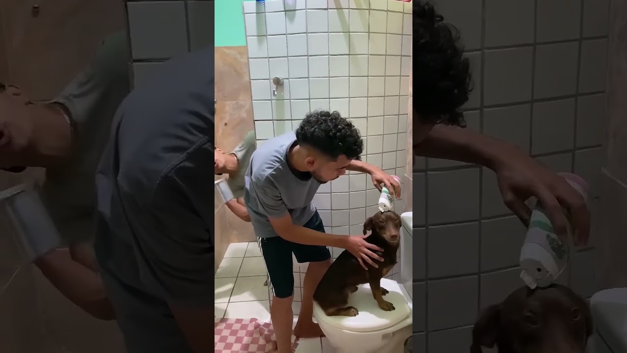 Bota um pouquinho pra eu tomar🤣🤣